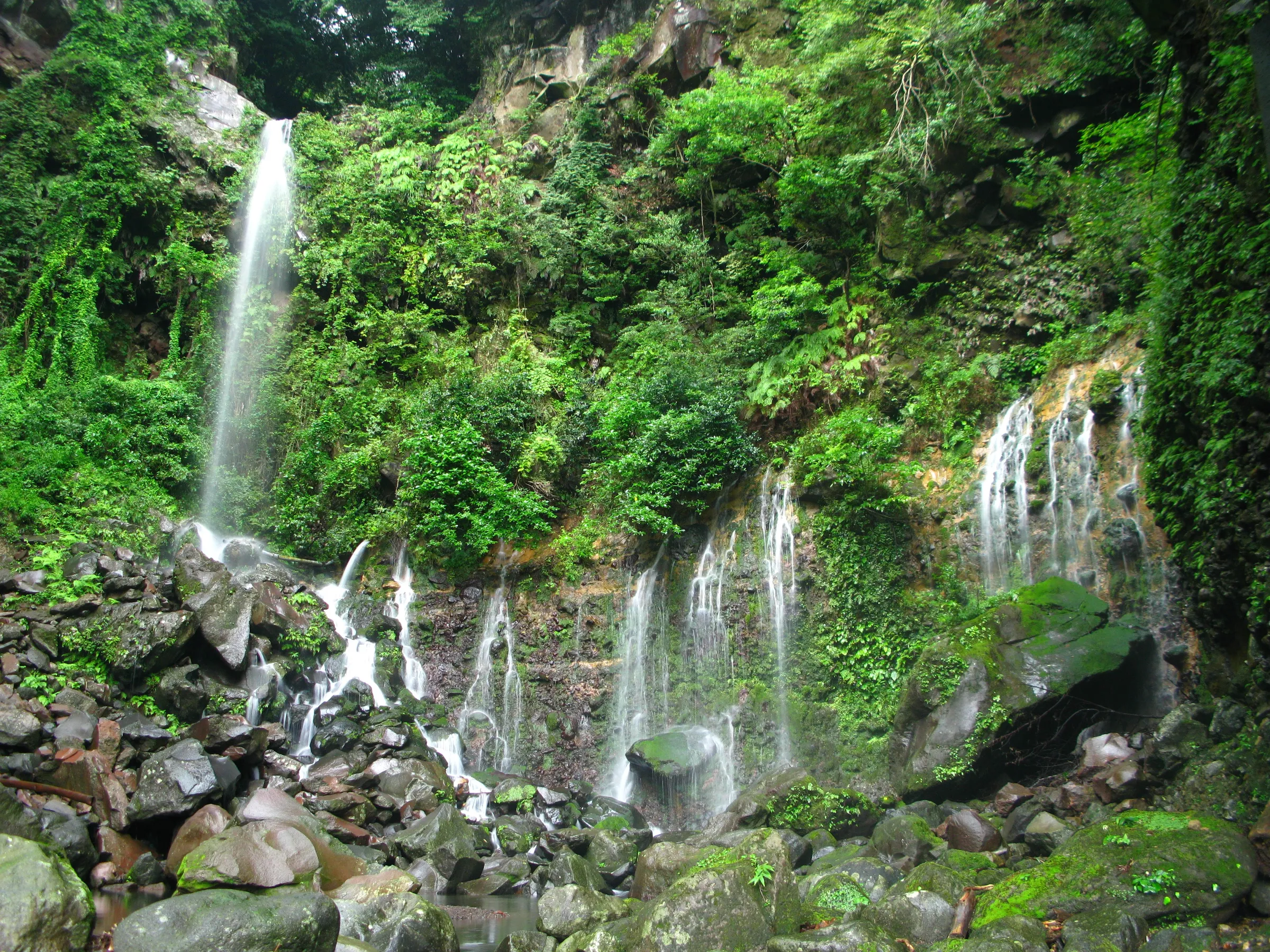 自然の恵み豊かな水
